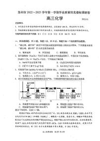 江苏省苏州市2021-2022学年高三第一学期学业质量阳光指标调研化学试卷（PDF版含答案）