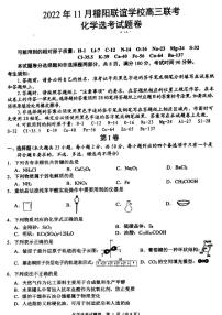 浙江省稽阳联谊学校2022-2023学年高三上学期11月期中联考化学试题