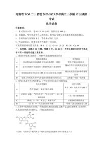 2022-2023学年河南省实验中学TOP二十名校高三上学期12月调研考试化学试题（PDF版）