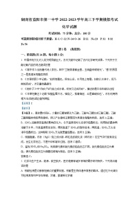 湖南省益阳市第一中学2022-2023学年高三化学下学期模拟考试试题 （Word版附解析）