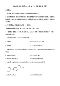 湖南省名校联盟2023届高三3月联考化学试题(含答案)