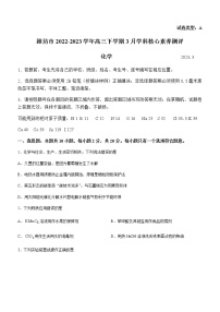 山东省潍坊市2022-2023学年高三下学期3月学科核心素养测评化学试题（Word版含答案）