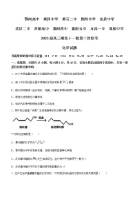 湖北省十一校2023届高三下学期3月第二次联考化学试题（Word版含答案）