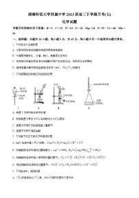 2023湖南师大附中高三下学期月考（七）化学试卷含解析