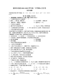 广东省湛江市雷州市名校2022-2023学年高一下学期4月月考化学试题（Word版含答案）