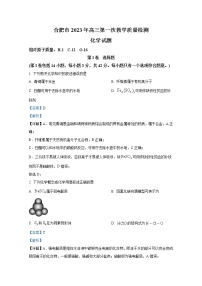 安徽省合肥市2023届高三化学第一次质量检测（一模）试题（Word版附解析）