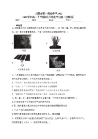 太康县第一高级中学2022-2023学年高一下学期2月月考化学试卷（含答案）