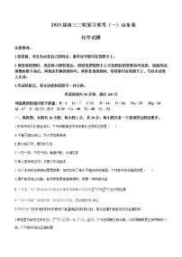 2022-2023学年山东省部分学校高三下学期二轮复习联考（月考）化学试题含解析