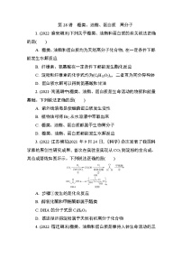 2024年江苏高考化学一轮复习 第28讲　糖类、油脂、蛋白质　高分子 课时练（含解析）