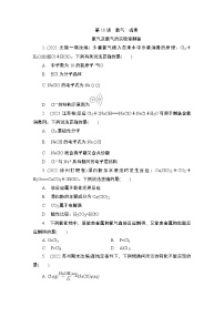 2024年江苏高考化学一轮复习 第10讲　氯气　卤素 课时练（含解析）