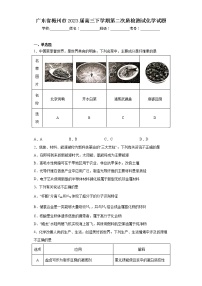 广东省梅州市2023届高三下学期第二次质检测试化学试题（含答案）