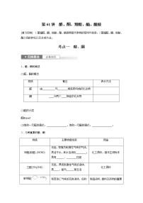 2024年高考化学一轮复习　第61讲　醛、酮、羧酸、酯、酰胺  学案（含答案）