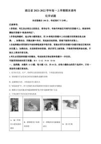 2021-2022学年湖北省高一上学期期末调考 化学 试题（学生版 解析版）