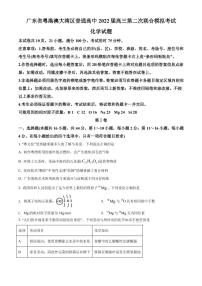 2022届广东省粤港澳大湾区高三下学期4月联合模拟考试 化学 PDF版