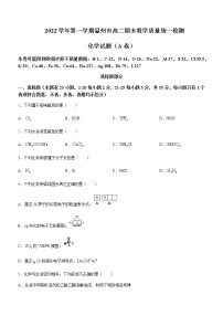 浙江省温州市2022-2023学年高一上学期期末教学质量统一检测（A卷）化学试题含答案