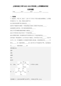 2022-2023学年上海市徐汇中学高二上学期期末考试化学试题（解析版）