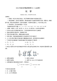 2023年高考押题预测卷01（山东卷）-化学（考试版）A4版