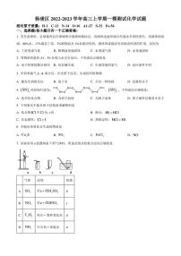 2022-2023学年上海市杨浦区高三上学期一模测试化学试题PDF版含答案