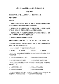 2022-2023学年湖北省武汉市高三下学期4月调研考试化学试卷含答案