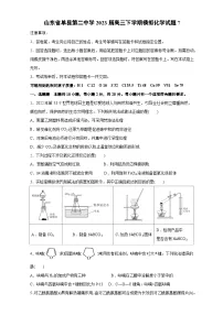 2023届山东省菏泽市单县第二中学高三下学期第七次模拟测试化学试题（含解析）