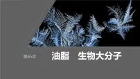 2024届高考一轮复习化学课件第十章 有机化学基础第 65讲 油脂 生物大分子