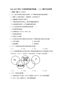 2021-2022学年广东省深圳实验学校高一（上）期中化学试卷