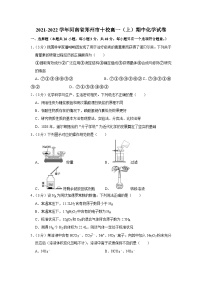 2021-2022学年河南省郑州市十校高一（上）期中化学试卷