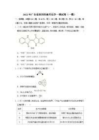 2022年广东省深圳市高考化学一调试卷（一模）