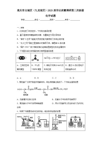 重庆市主城区（九龙坡区）2023届学业质量调研第三次抽查化学试题（无解析）