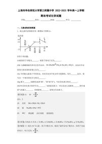 2022-2023学年上海市华东师范大学第三附属中学高一上学期期末考试化学试题（解析版）