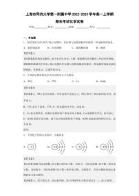 2022-2023学年上海市同济大学第一附属中学高一上学期期末考试化学试卷（解析版）