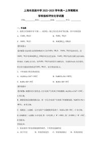 2022-2023学年上海市吴淞中学高一上学期期末学科指标评估化学试题（解析版）