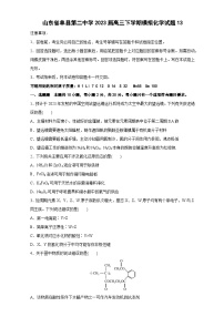 2023届山东省菏泽市单县第二中学高三下学期第十三次模拟测试化学试题（含解析）