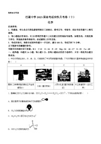 重庆市巴蜀中学校2022-2023学年高三高考适应性月考卷（十）化学试题 附答案