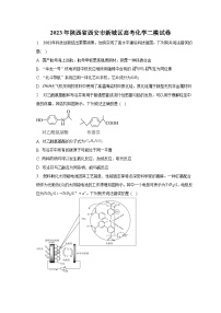 2023年陕西省西安市新城区高考化学二模试卷（含解析）