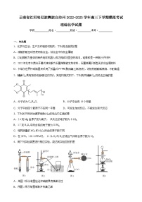2022-2023届云南省红河哈尼族彝族自治州高三下学期模拟考试理综化学试题