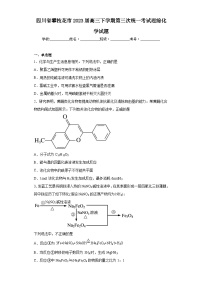 四川省攀枝花市2023届高三下学期第三次统一考试理综化学试题（含答案）