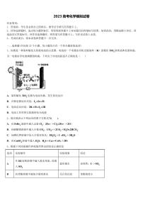 2023学年广东省华附、省实、深中、广雅四校高考冲刺模拟化学试题(PDF版)