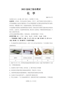 2023届广东省广州市华南师范大学附属中学高三第三次模拟考试化学试卷