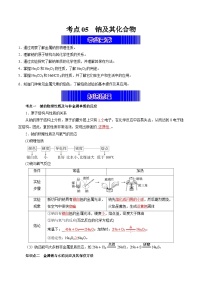 考点05  钠及其化合物（考点归纳）——2023年高中化学学业水平考试专项精讲+测试（人教版2019必修1+必修2）