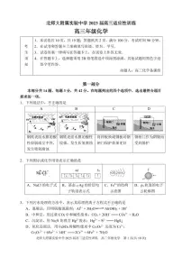 2023年北师大实验中学高三三模化学试题及答案