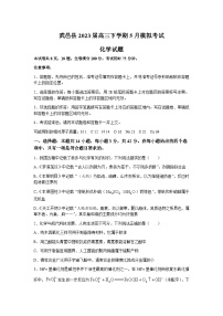 河北省衡水市武邑县2023届高三下学期5月模拟考试化学试题及答案