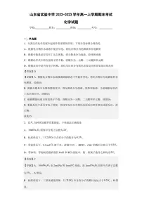 2022-2023学年山东省实验中学高一上学期期末考试化学试题（解析版）