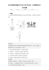 2022-2023学年四川省成都市树德中学高一上学期期末复习化学试题（解析版）