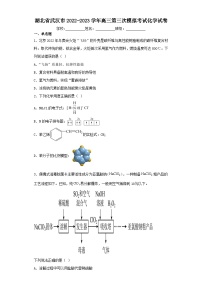 湖北省武汉市2022-2023学年高三第三次模拟考试化学试卷（含解析）