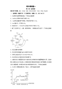 期中模拟题（一）——2022-2023学年高一化学下学期期末知识点精讲+训练学案+期末模拟卷（沪科版2020必修第二册）