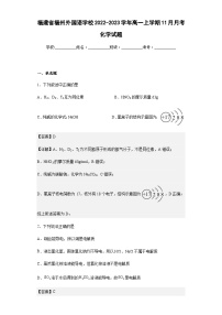 2022-2023学年福建省福州外国语学校高一上学期11月月考化学试题含答案