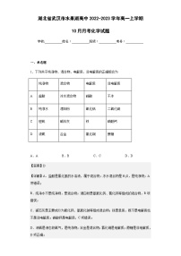 2022-2023学年湖北省武汉市水果湖高中高一上学期10月月考化学试题含解析