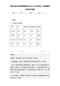 2022-2023学年黑龙江省哈尔滨市德强学校高一上学期期末考试化学试题含解析