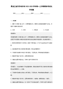 2022-2023学年黑龙江省齐齐哈尔市高一上学期期末考试化学试题含解析